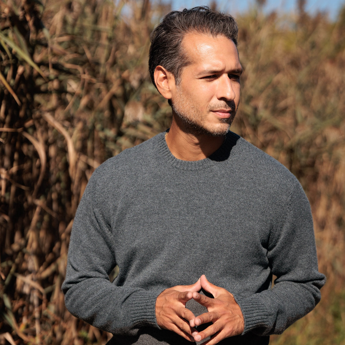 The Fraser 4-ply Scottish cashmere relaxed crewneck in Derby Grey, front view in the reeds