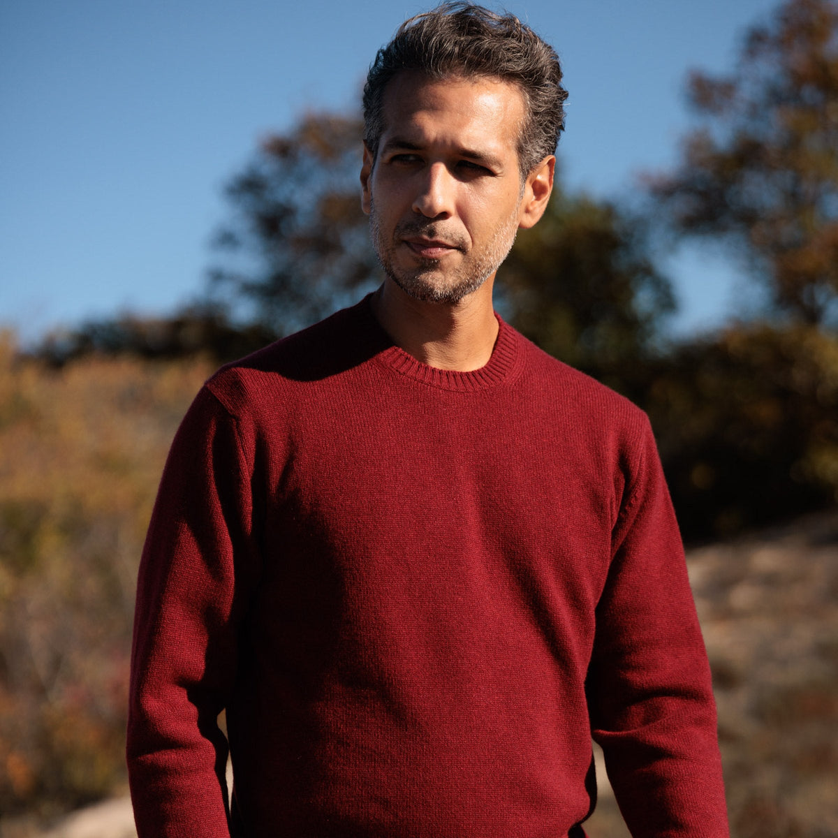 The Fraser 4-ply Scottish cashmere relaxed crewneck in Russet Red, front view