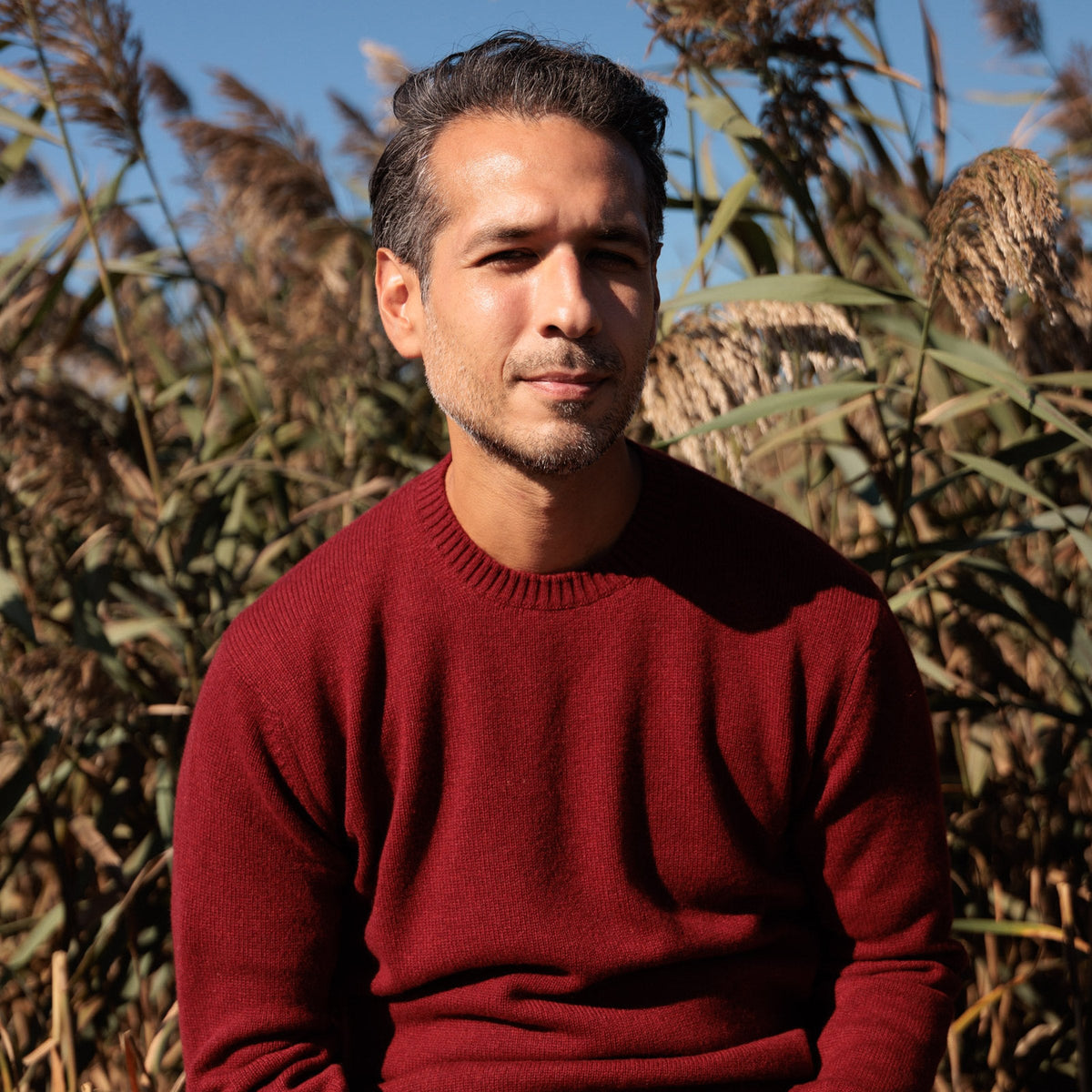 The Fraser 4-ply Scottish cashmere relaxed crewneck in Russet Red, seated in the reeds