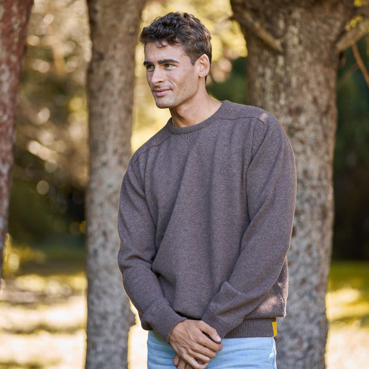 Billie Todd 100% Cashmere Four-Ply Sweatshirt Made in Scotland#color_beachwood